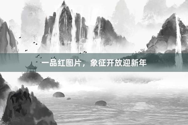 一品红图片，象征开放迎新年